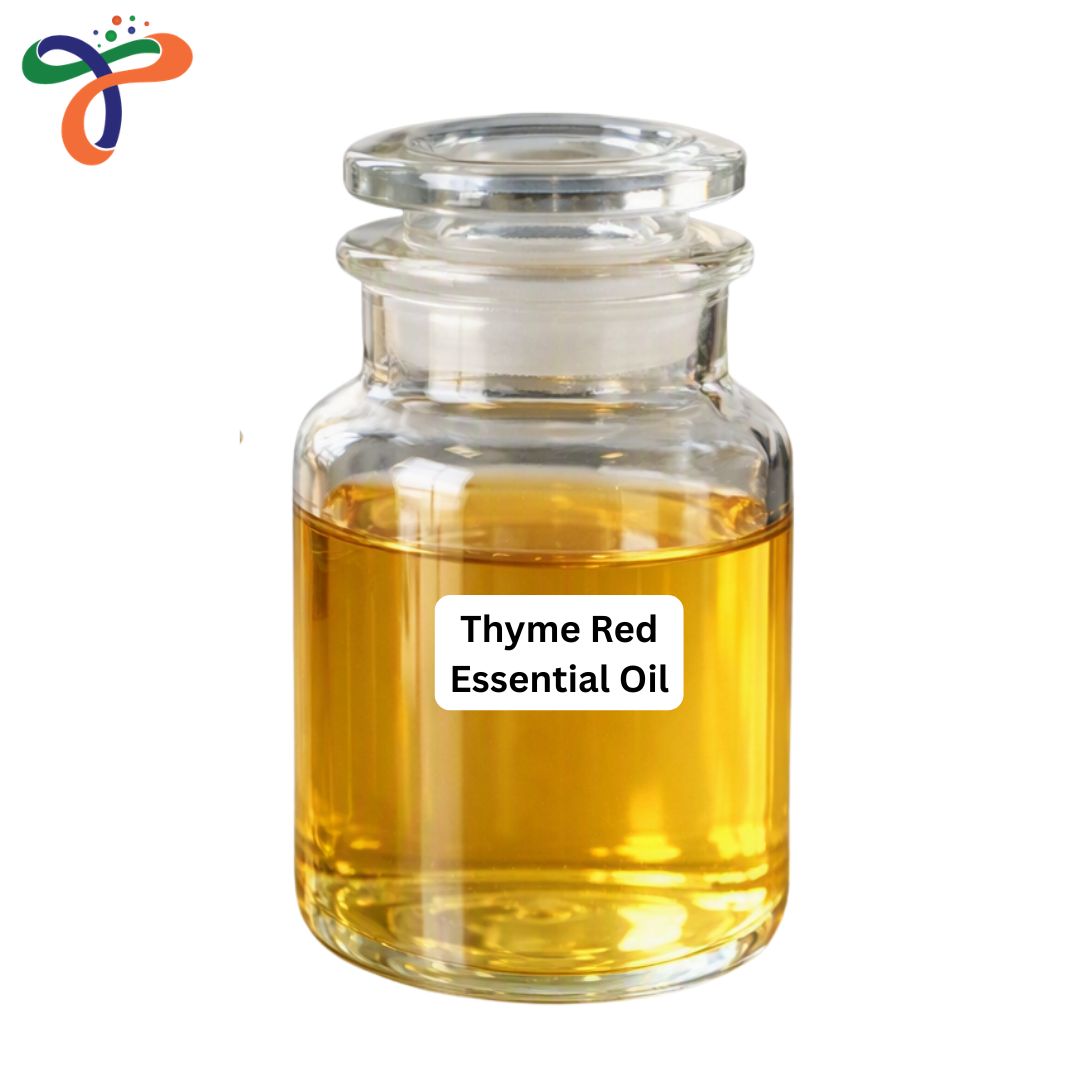 Thyme Red Essential Oil